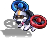 Wonder Dog